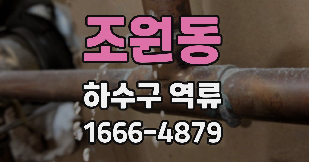 조원동 하수구 역류