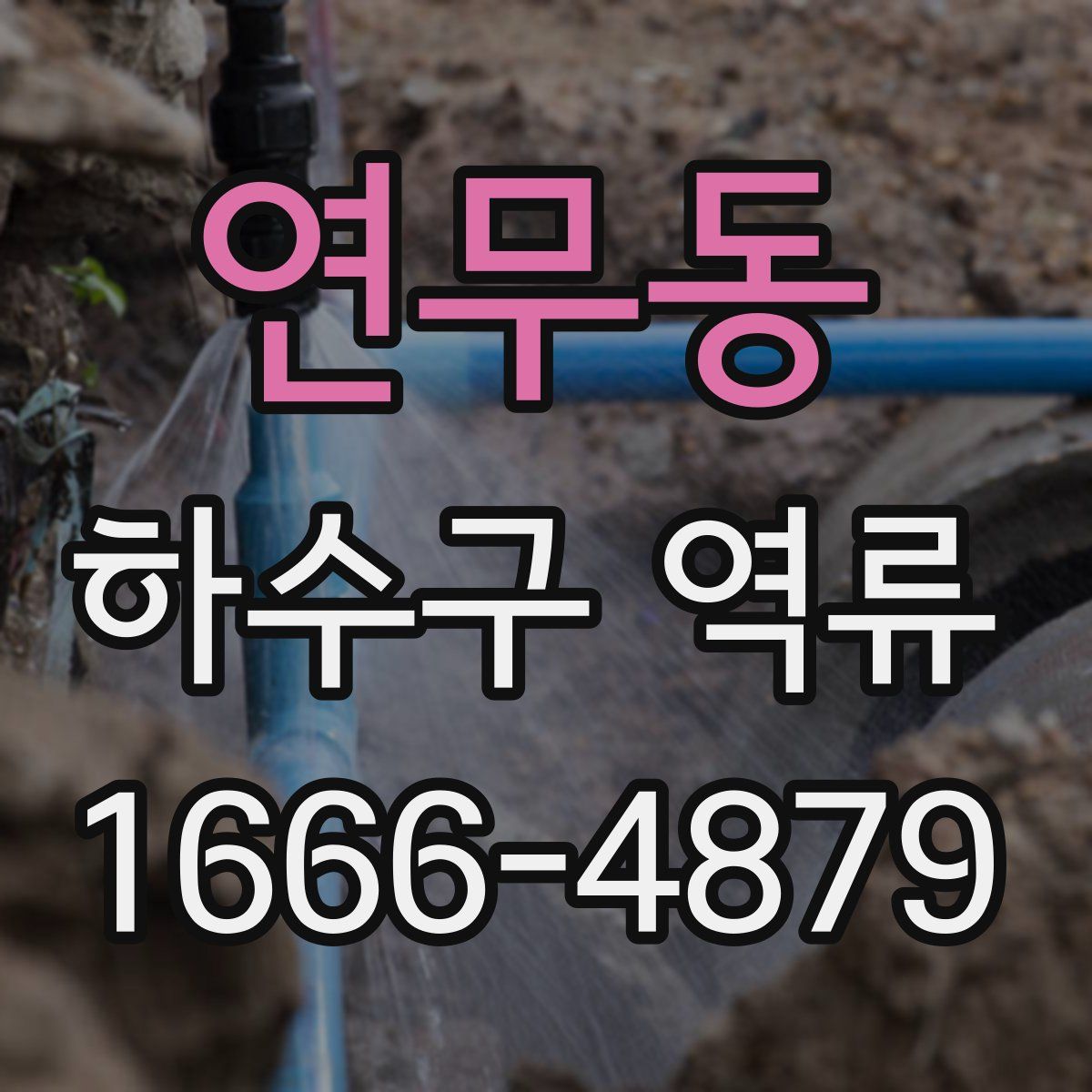 연무동 하수구 역류