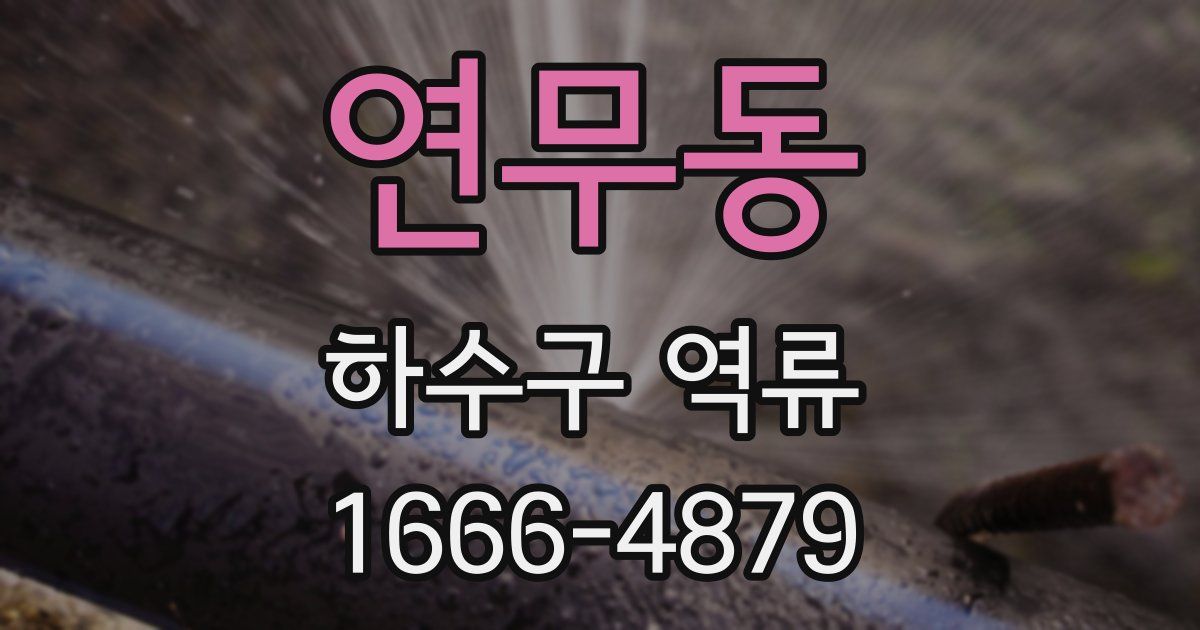 연무동 하수구 역류