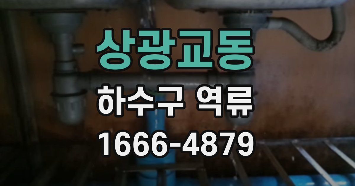 상광교동 하수구 역류