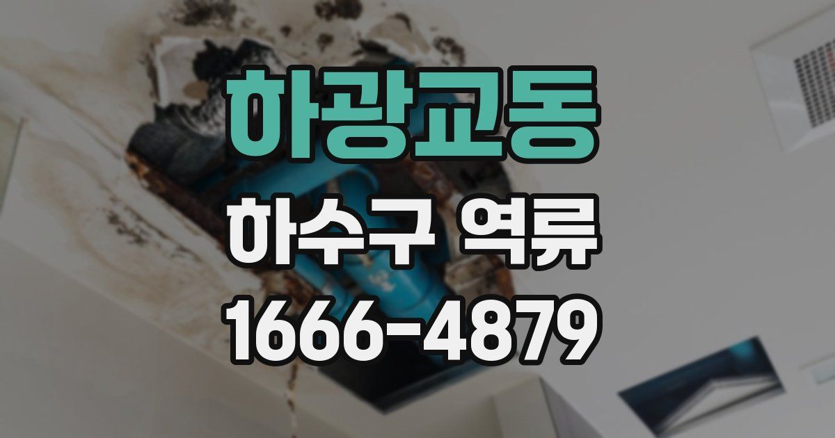 하광교동 하수구 역류