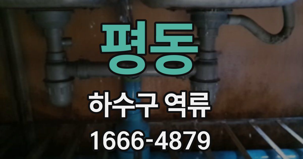 평동 하수구 역류