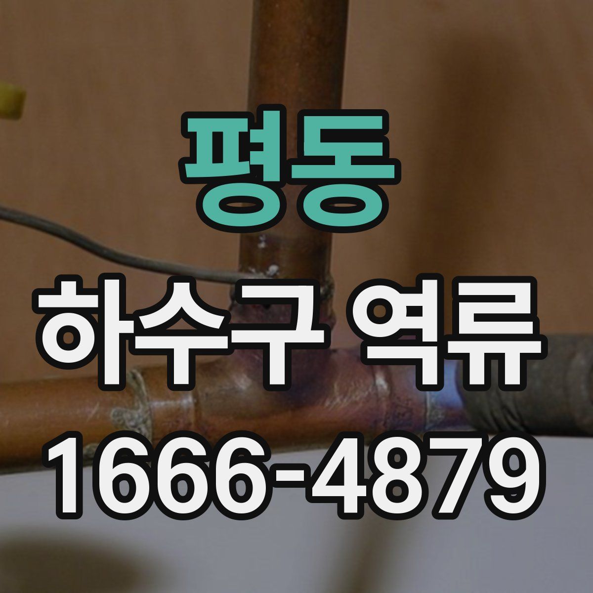 평동 하수구 역류