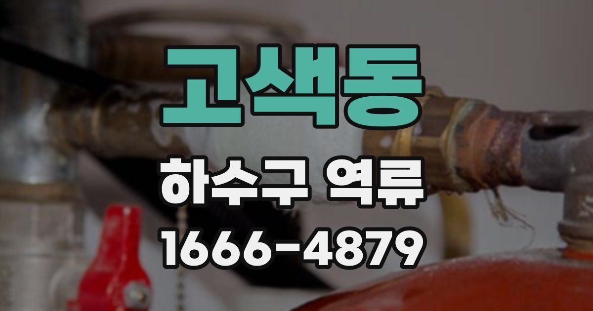 고색동 하수구 역류