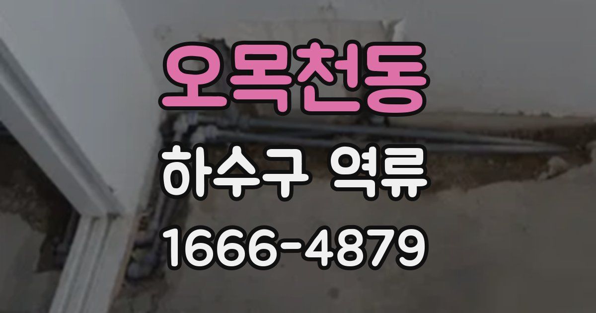 오목천동 하수구 역류