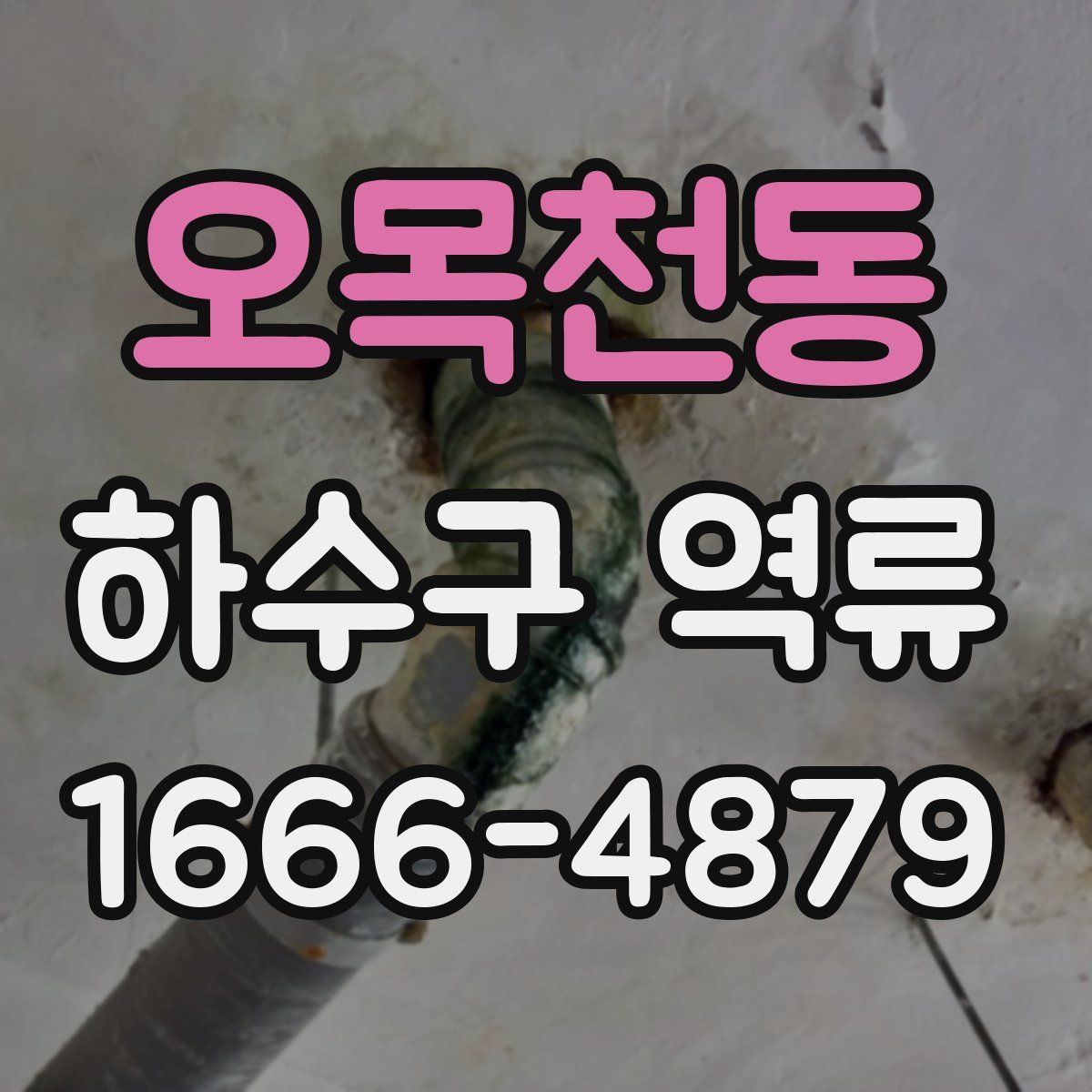 오목천동 하수구 역류