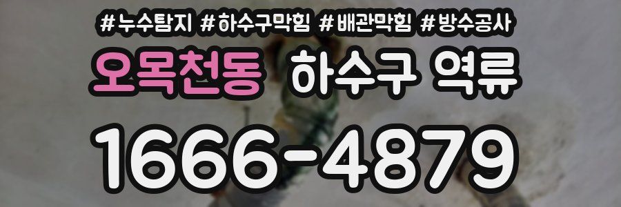 오목천동 하수구 역류