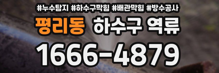 평리동 하수구 역류