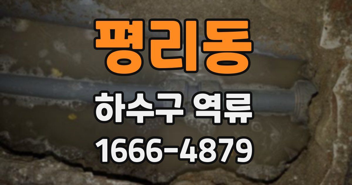 평리동 하수구 역류