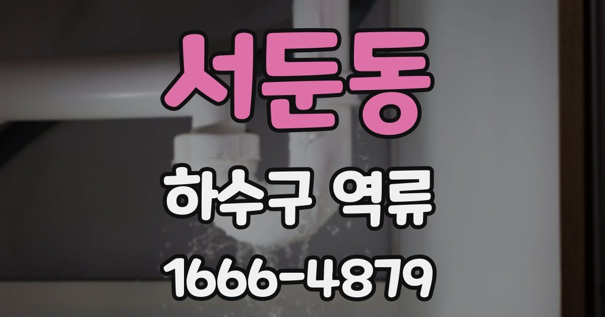 서둔동 하수구 역류