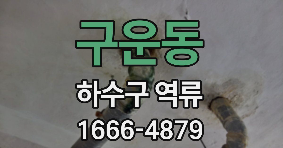 구운동 하수구 역류