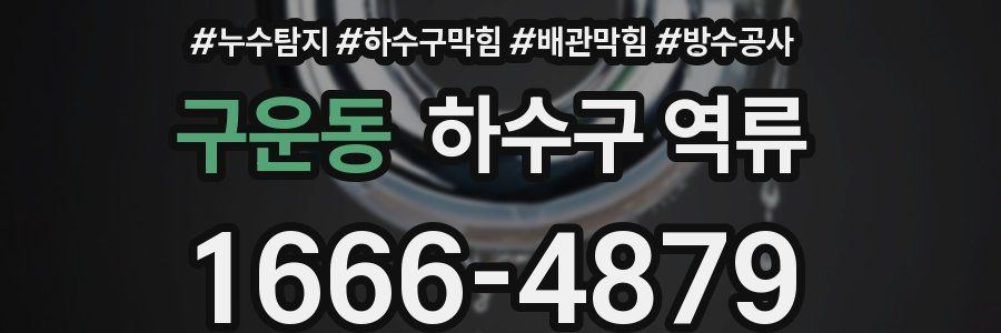 구운동 하수구 역류