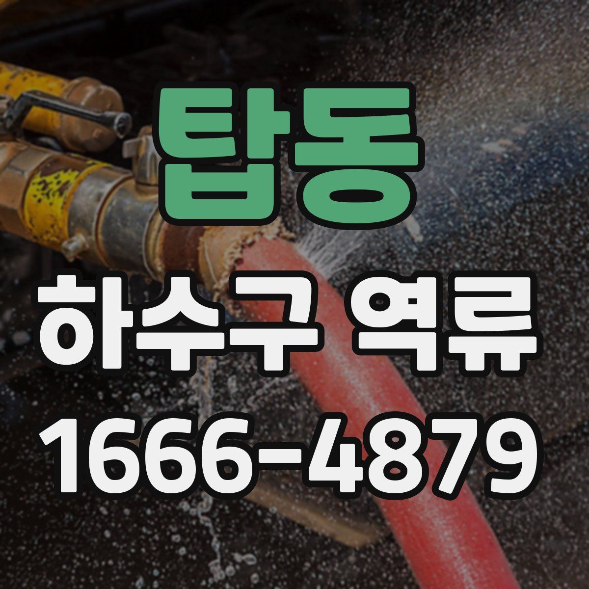 탑동 하수구 역류