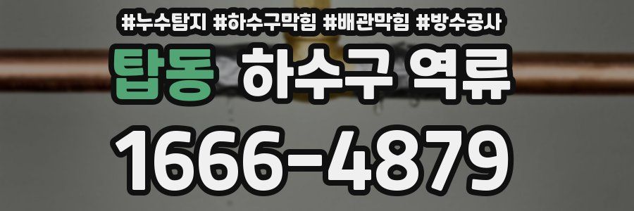 탑동 하수구 역류
