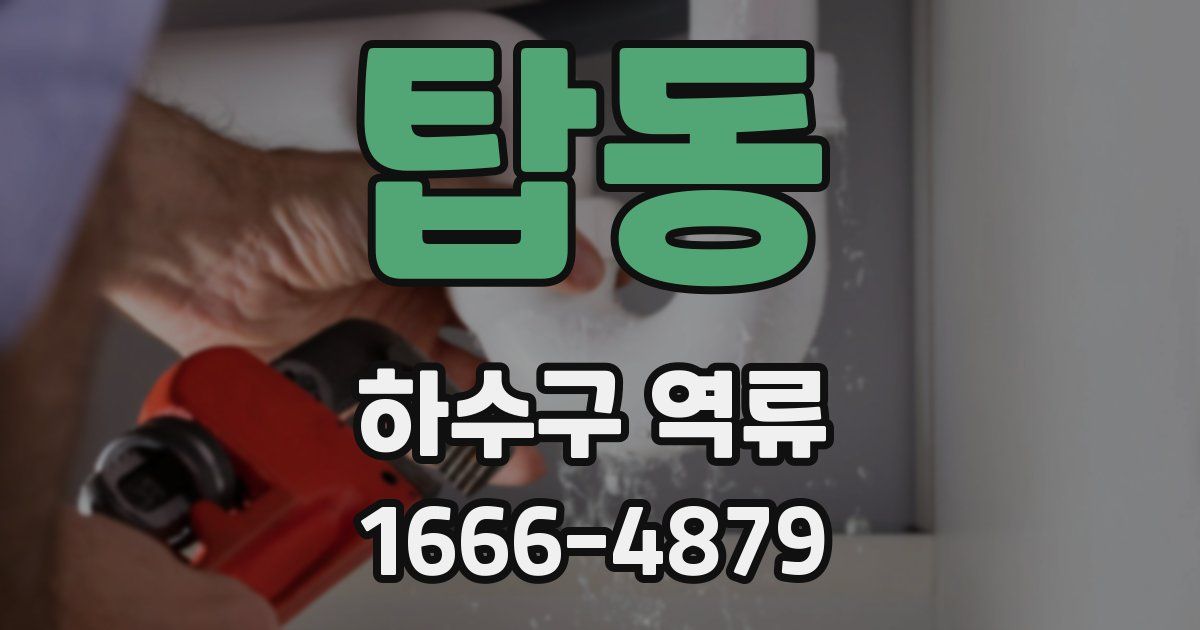 탑동 하수구 역류