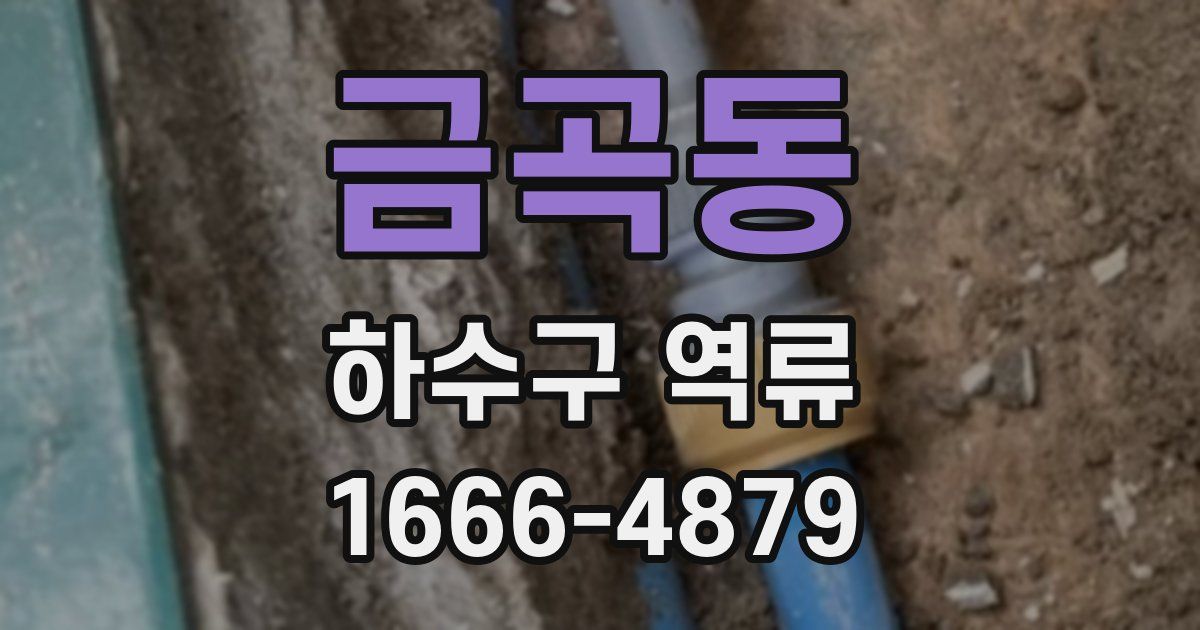 금곡동 하수구 역류