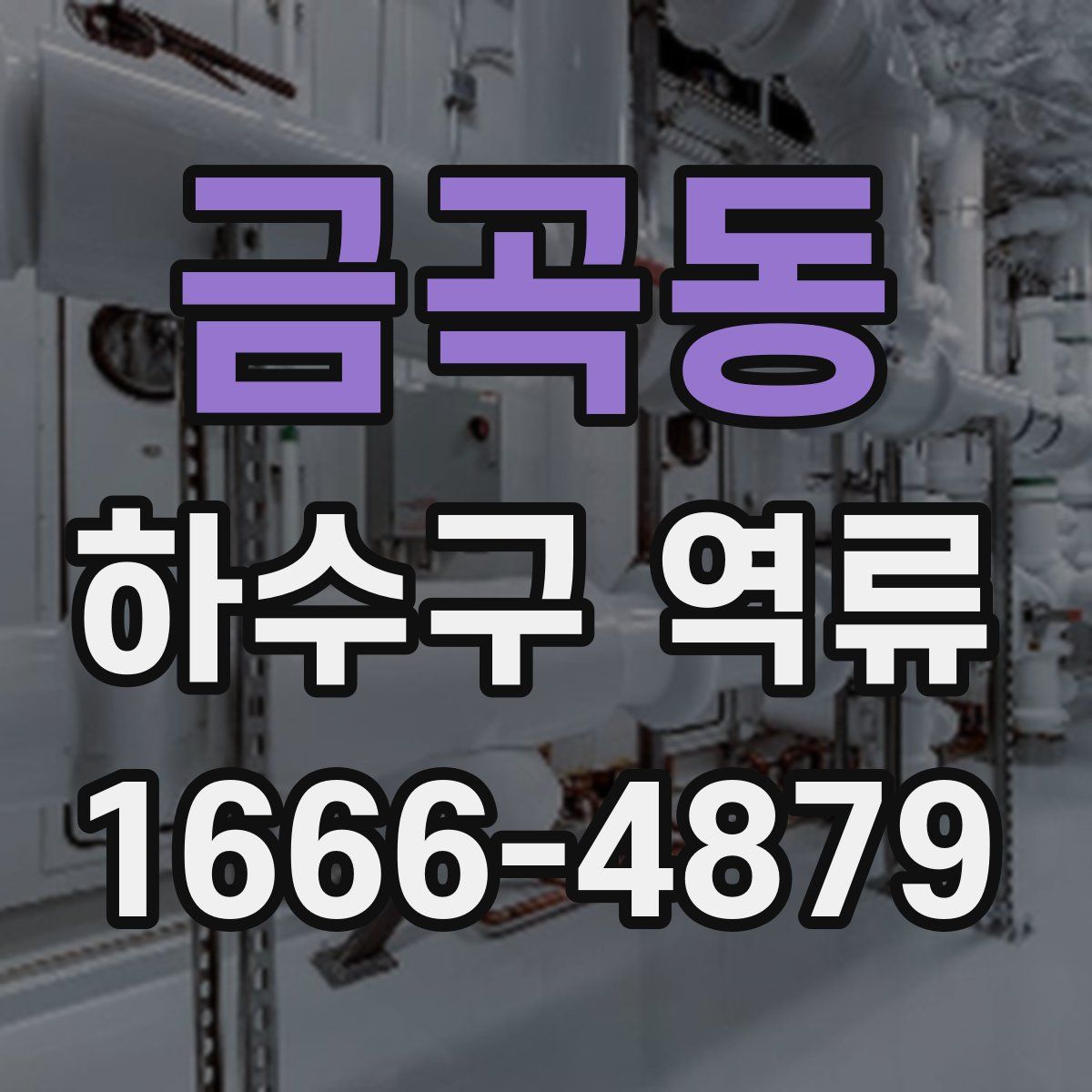 금곡동 하수구 역류