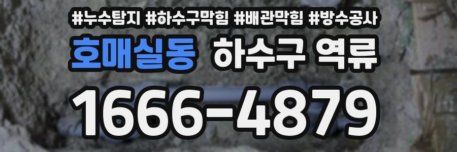 호매실동 하수구 역류