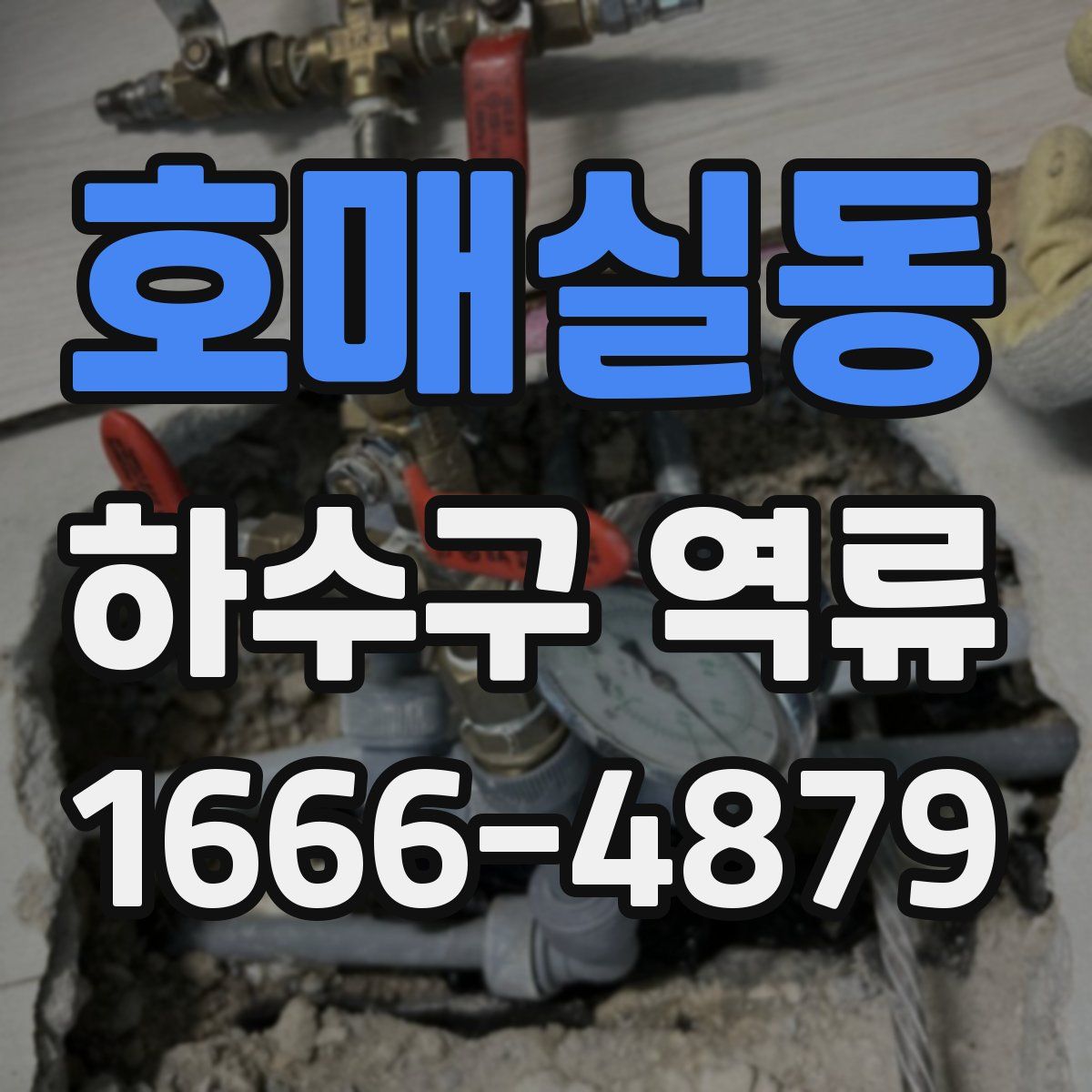 호매실동 하수구 역류