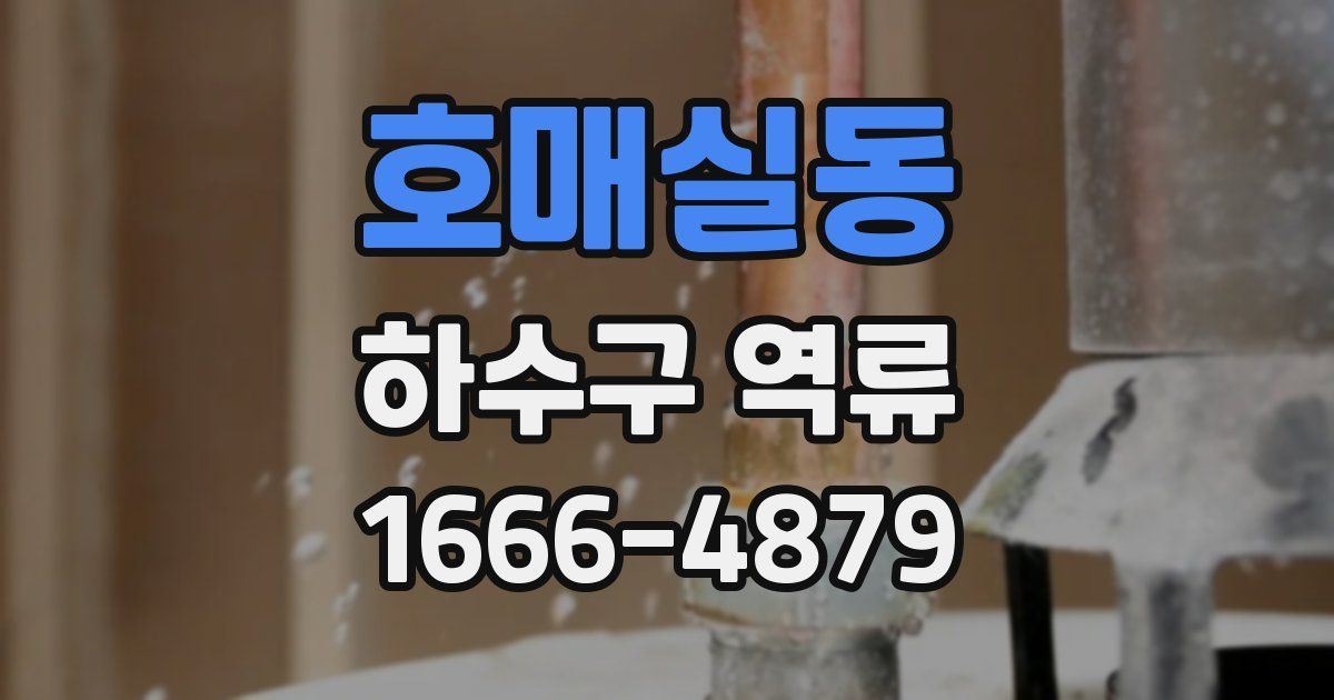 호매실동 하수구 역류