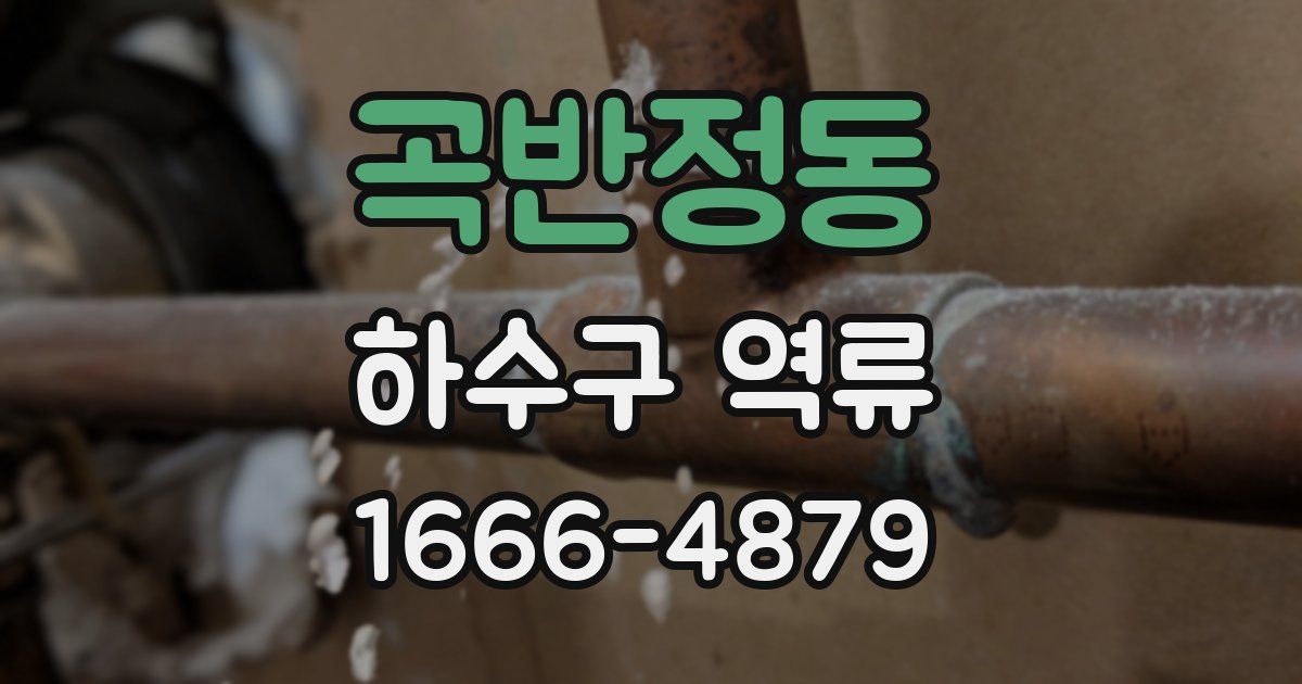 곡반정동 하수구 역류