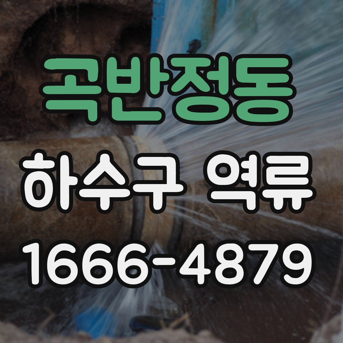 곡반정동 하수구 역류