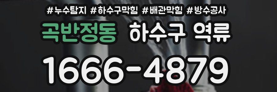 곡반정동 하수구 역류