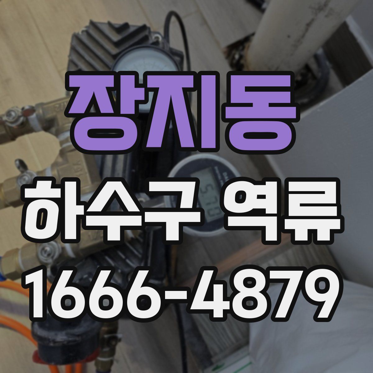 장지동 하수구 역류