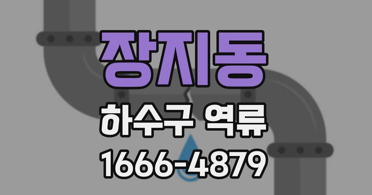 장지동 하수구 역류