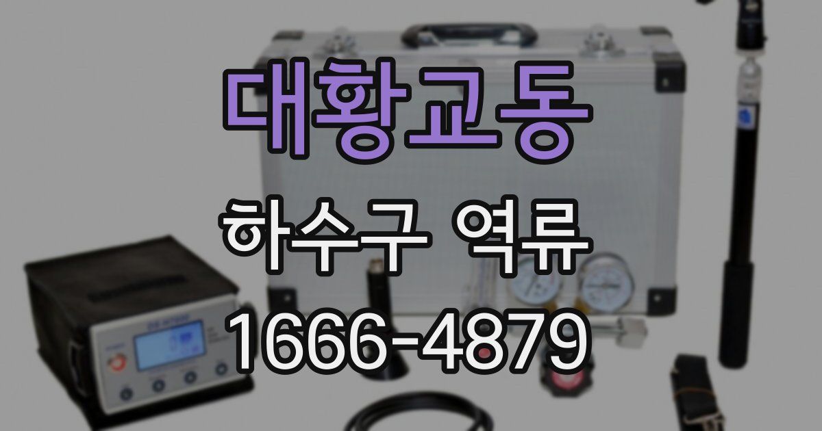 대황교동 하수구 역류
