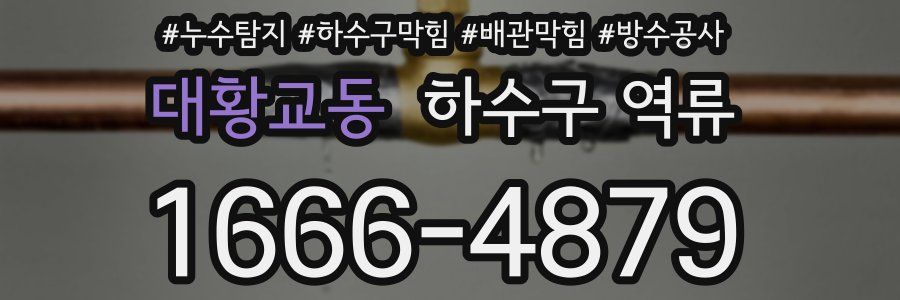 대황교동 하수구 역류