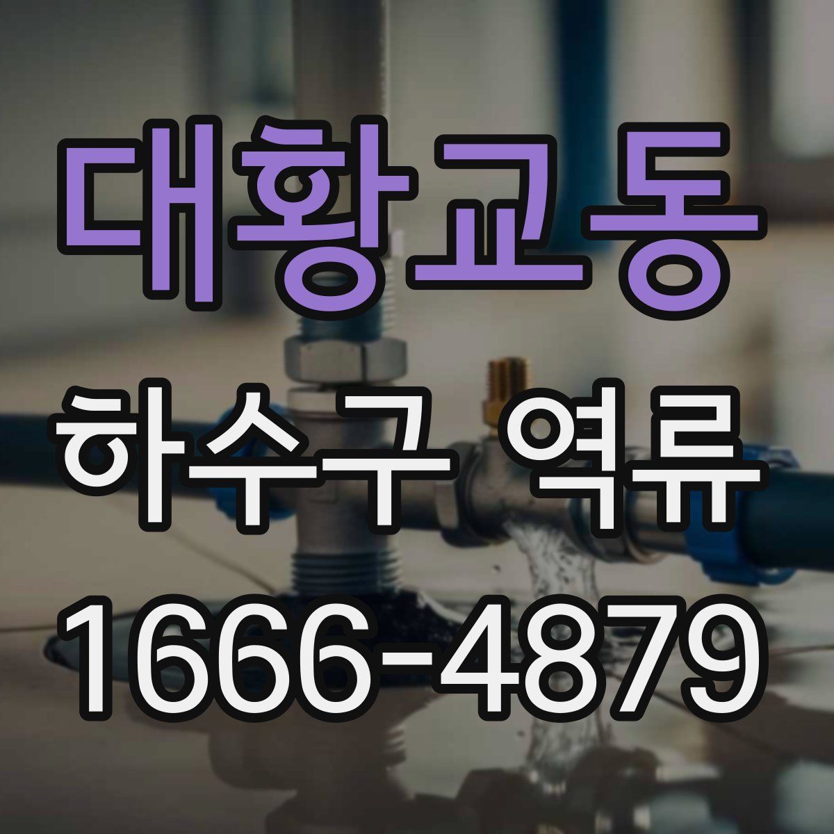 대황교동 하수구 역류