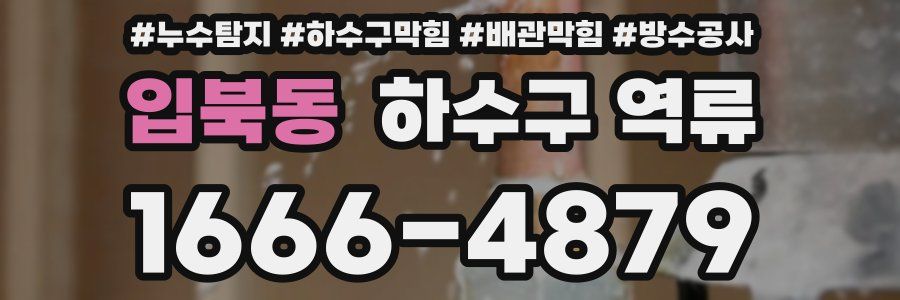 입북동 하수구 역류