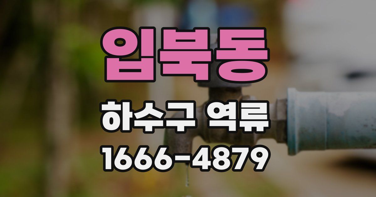 입북동 하수구 역류