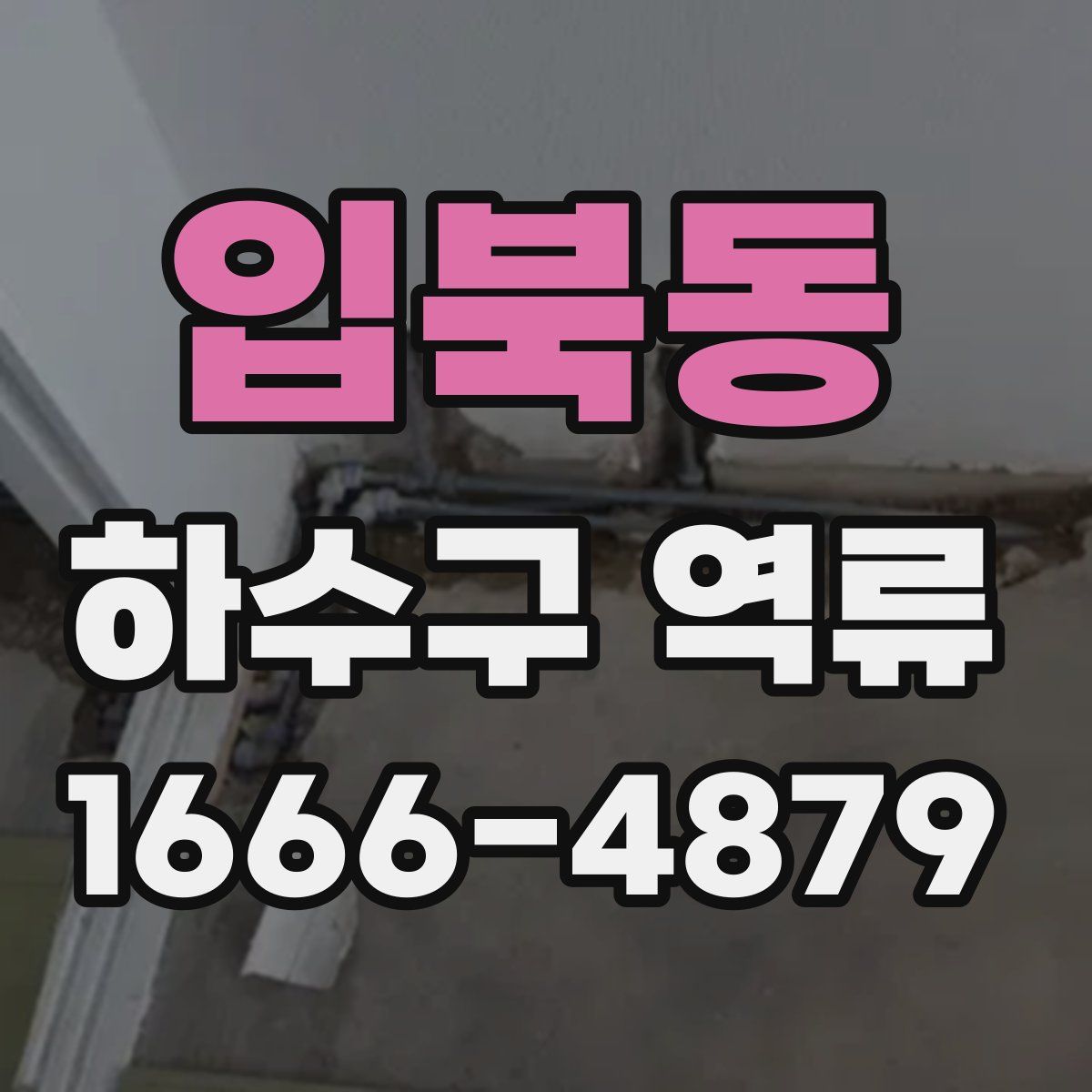 입북동 하수구 역류