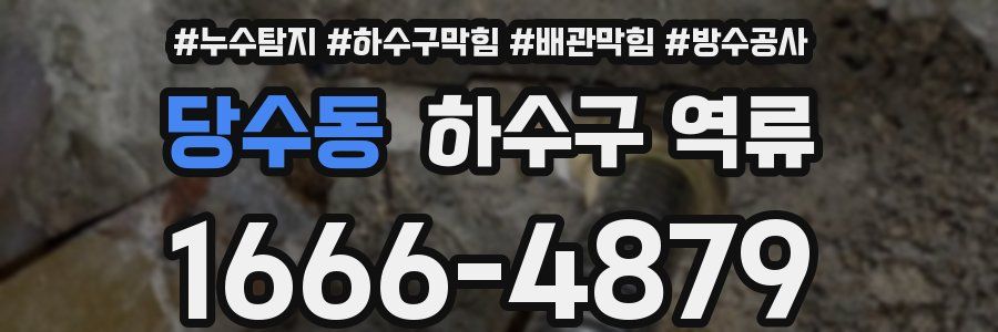 당수동 하수구 역류