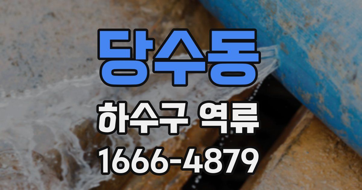 당수동 하수구 역류