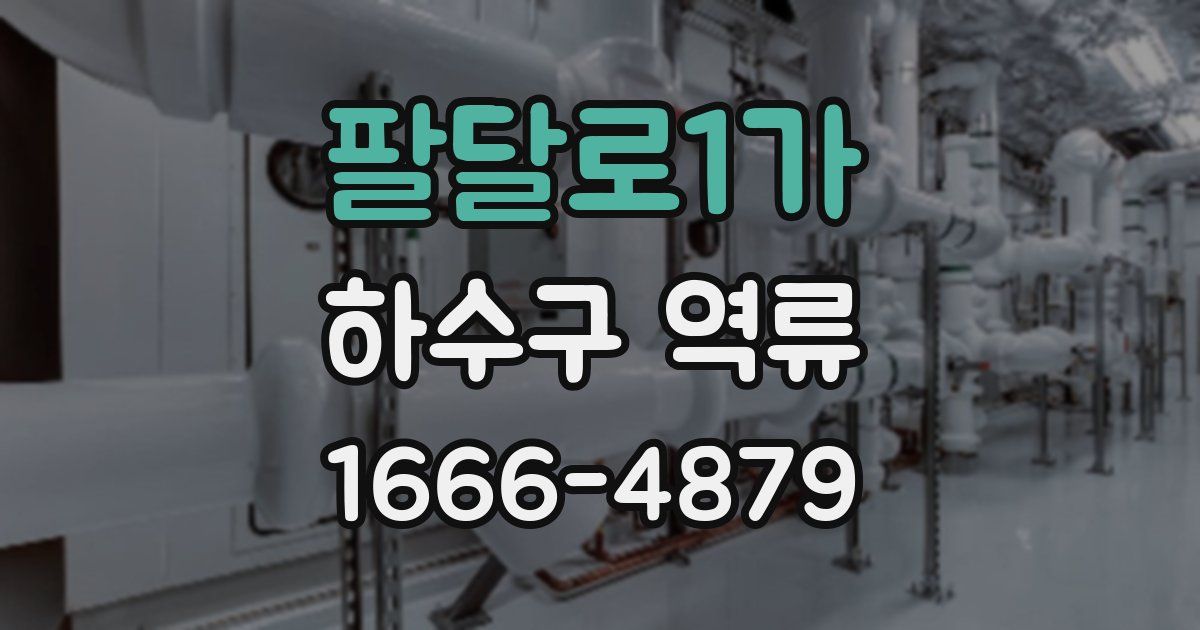 팔달로1가 하수구 역류