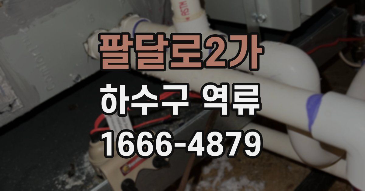 팔달로2가 하수구 역류