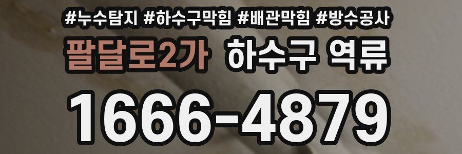팔달로2가 하수구 역류