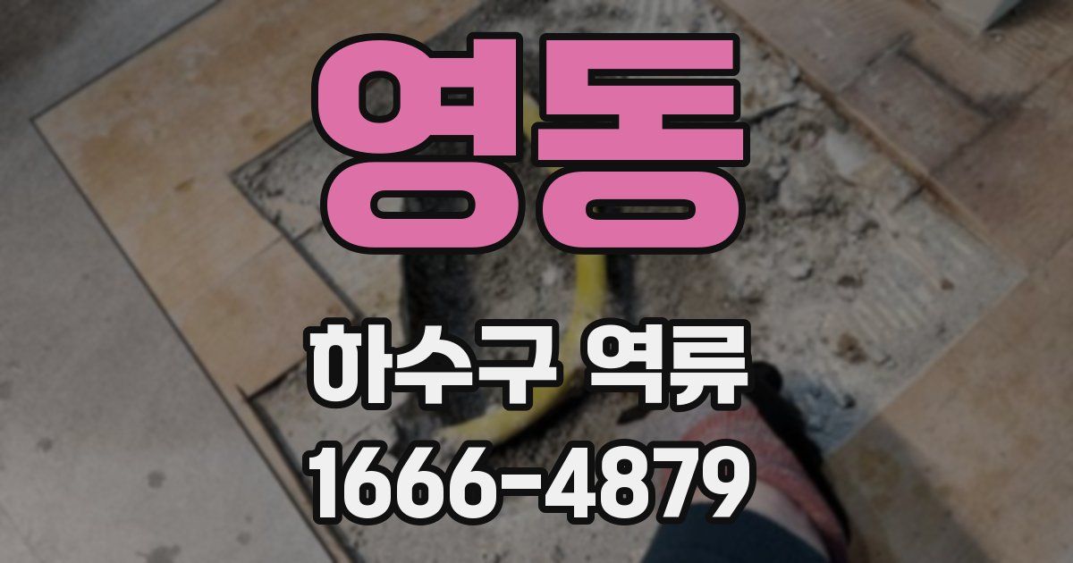 영동 하수구 역류
