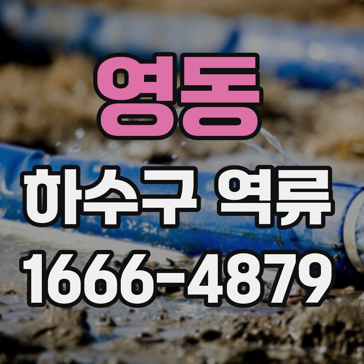 영동 하수구 역류