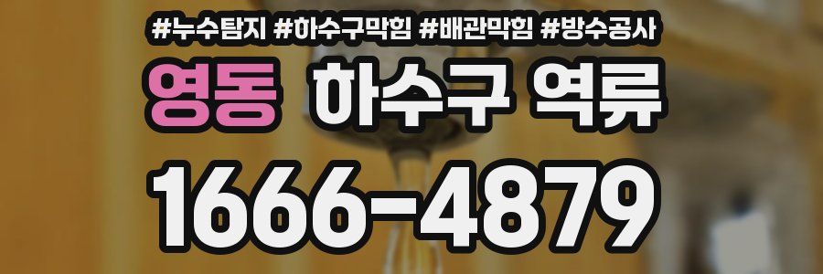 영동 하수구 역류