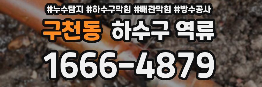 구천동 하수구 역류