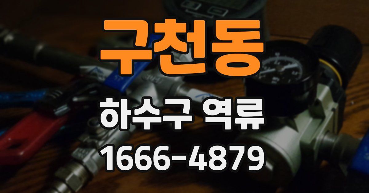 구천동 하수구 역류