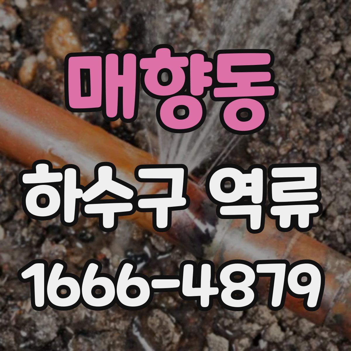 매향동 하수구 역류