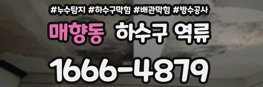 매향동 하수구 역류
