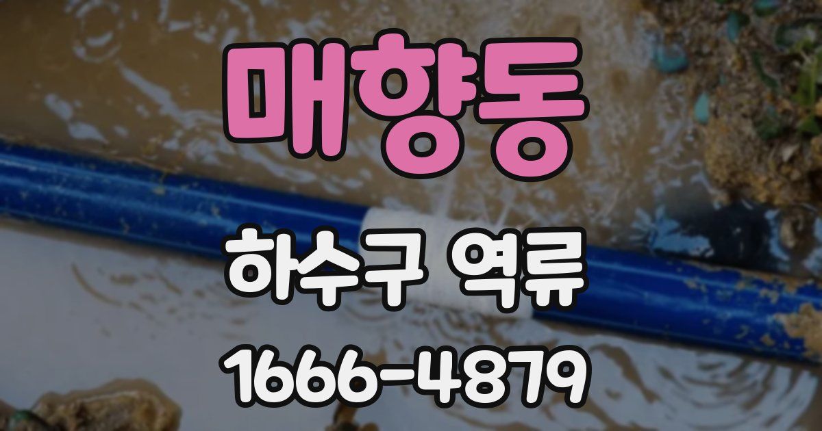 매향동 하수구 역류