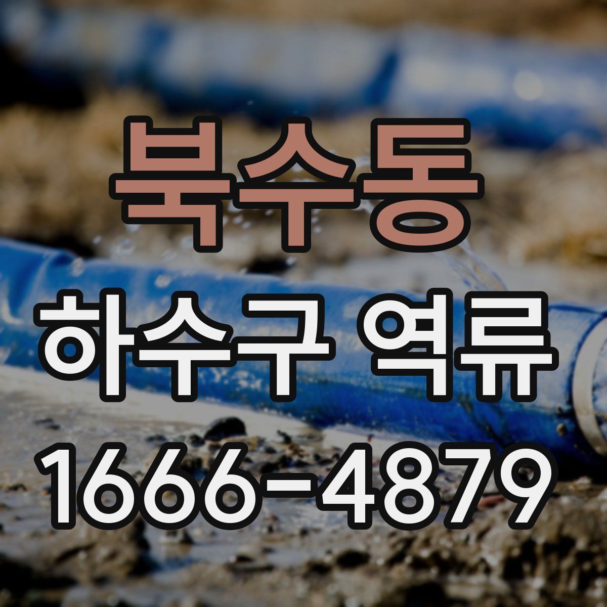 북수동 하수구 역류
