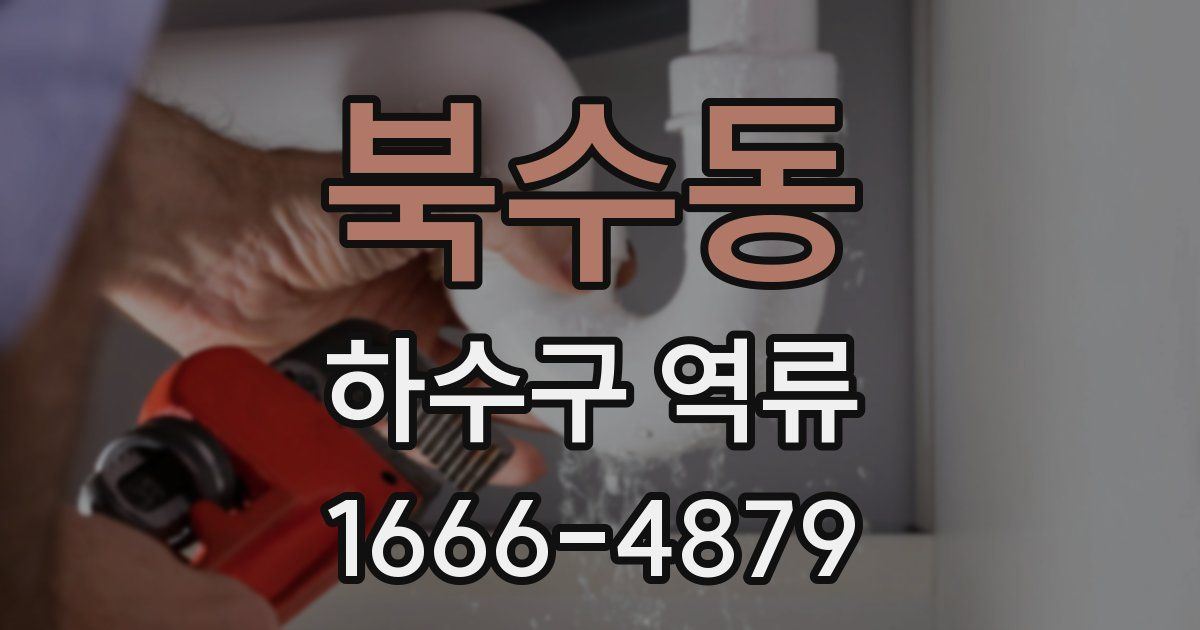 북수동 하수구 역류